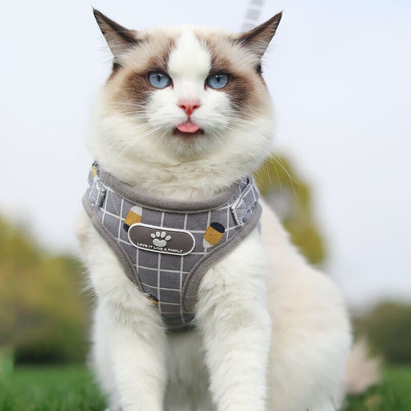 Breathable Striped Cat Harness with Leash, Adjustable & Reflective-Cat Harness-1-Colydia