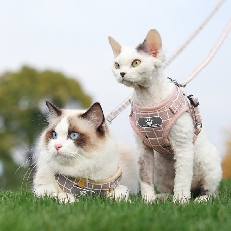 Breathable Striped Cat Harness with Leash, Adjustable & Reflective-Cat Harness-4-Colydia