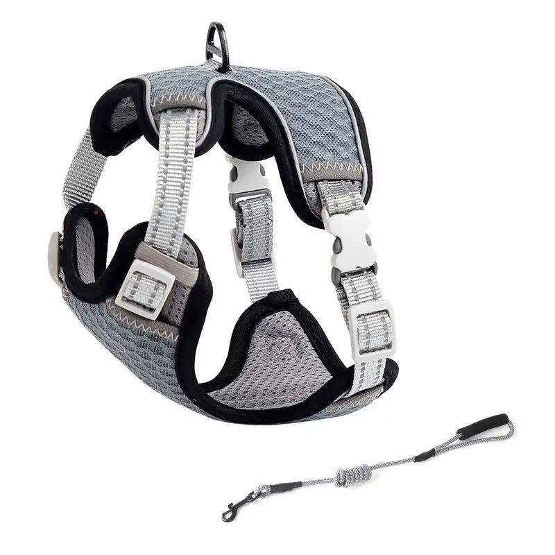 Reflective Cat Harness Leash with Adjustable Fit & Breathable Mesh-Cat Harness and Leash-Gray-XS (3.3 to 6.6 lbs)-11-Colydia