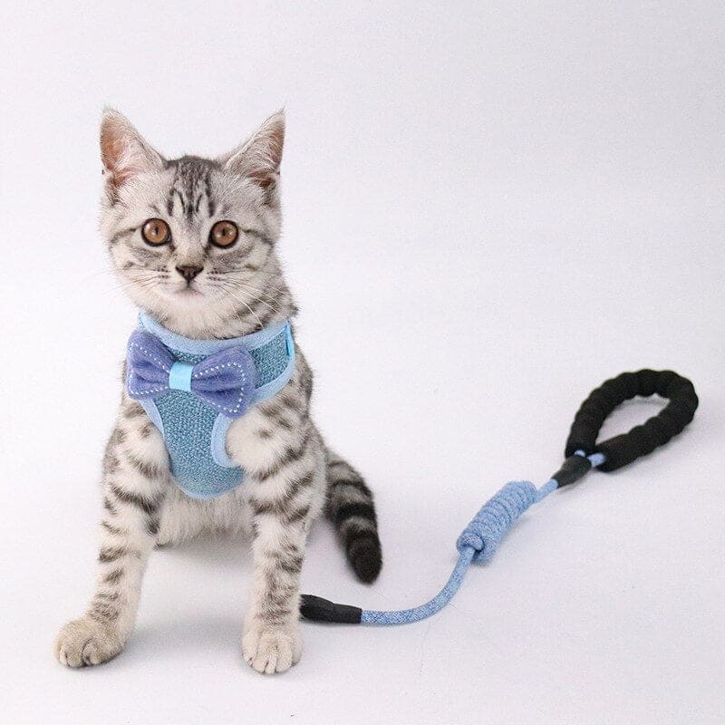 Elegant Bow Tie Cat Harness with Leash – Stylish & Adjustable-Cat Harness with Leash-2-Colydia