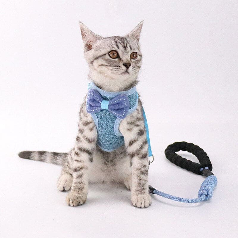 Elegant Bow Tie Cat Harness with Leash – Stylish & Adjustable-Cat Harness with Leash-4-Colydia