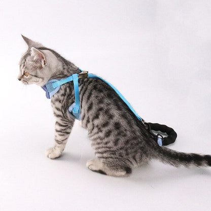 Elegant Bow Tie Cat Harness with Leash – Stylish & Adjustable-Cat Harness with Leash-3-Colydia