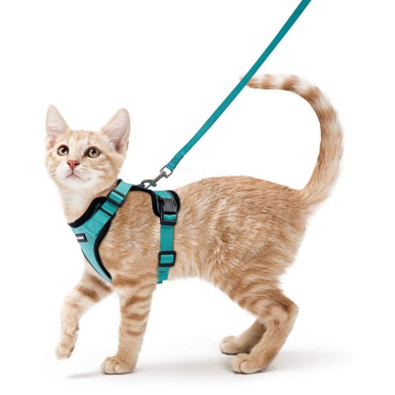 Ultra-Comfortable Cat Walking Harness - Lightweight & Safe Design-Cat Harness-3-Colydia