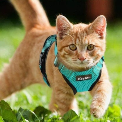 Ultra-Comfortable Cat Walking Harness - Lightweight & Safe Design-Cat Harness-1-Colydia