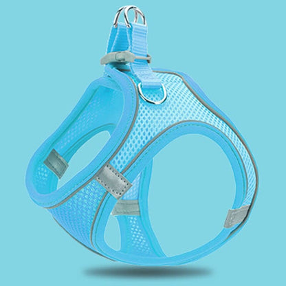 Comfy Cat Walking Harness with Soft Padding and Adjustable Fit-Cat Harness-Blue-XS-8-Colydia