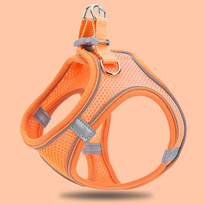 Comfy Cat Walking Harness with Soft Padding and Adjustable Fit-Cat Harness-Orange-XS-11-Colydia