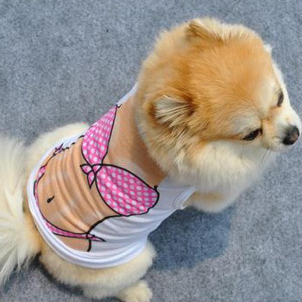 Funny Instant Muscle Pet Vest - Hilarious Workout Costume for Pets-Pet Costume Vest-2-Colydia