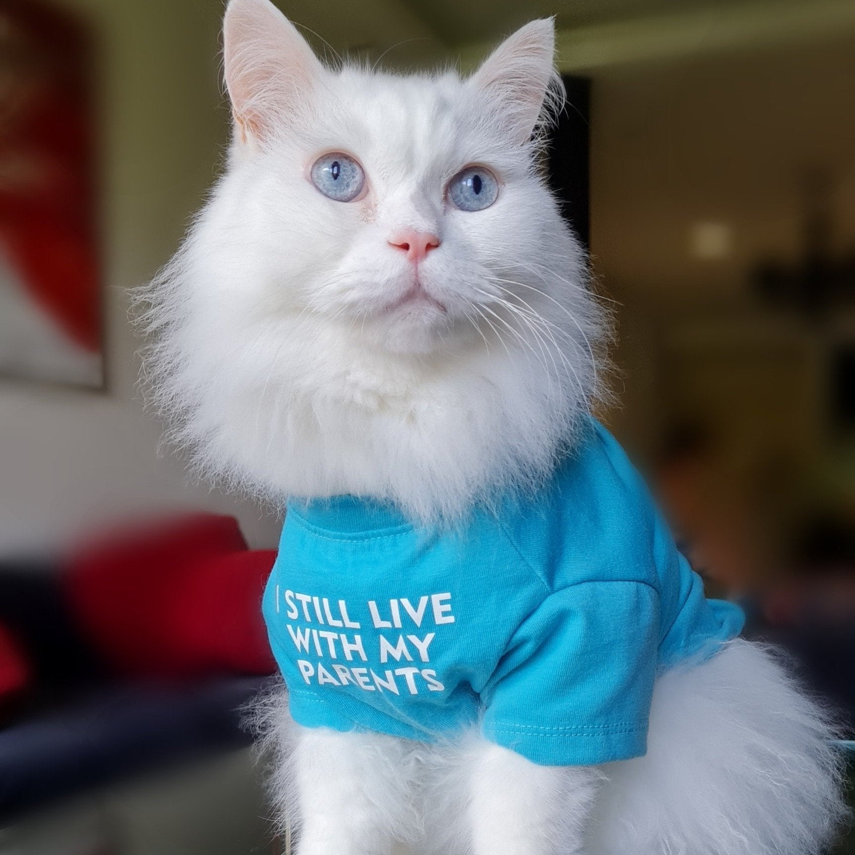 Funny Pet Tee for Cats & Dogs - "I Still Live With My Parents" Design-Pet Apparel-1-Colydia