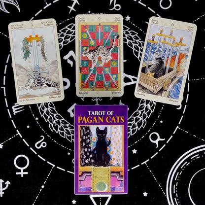 Playful Cat Tarot Card Game - 78 Card Deck for Feline Fun-Tarot Card Game-9-Colydia