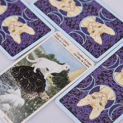 Playful Cat Tarot Card Game - 78 Card Deck for Feline Fun-Tarot Card Game-8-Colydia