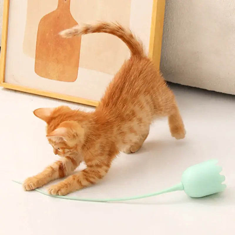 Interactive USB-C Rechargeable Cat Toy with 360° Rotating Antenna-Cat Toy-2-Colydia