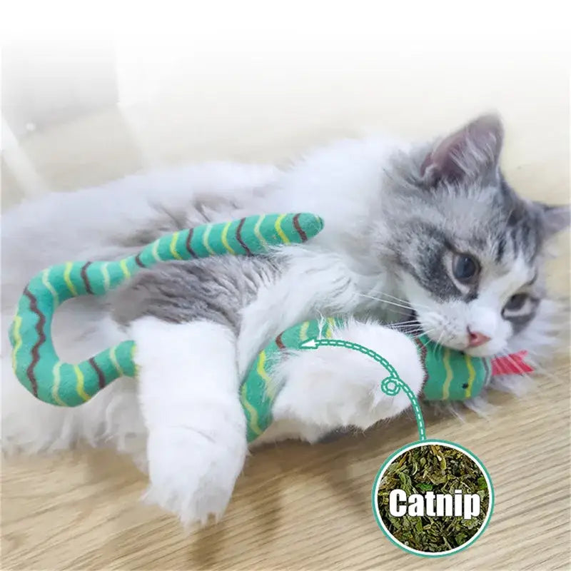 Interactive Catnip Snake Toy for Cats - Realistic & Durable Fun-Cat Toy-2-Colydia