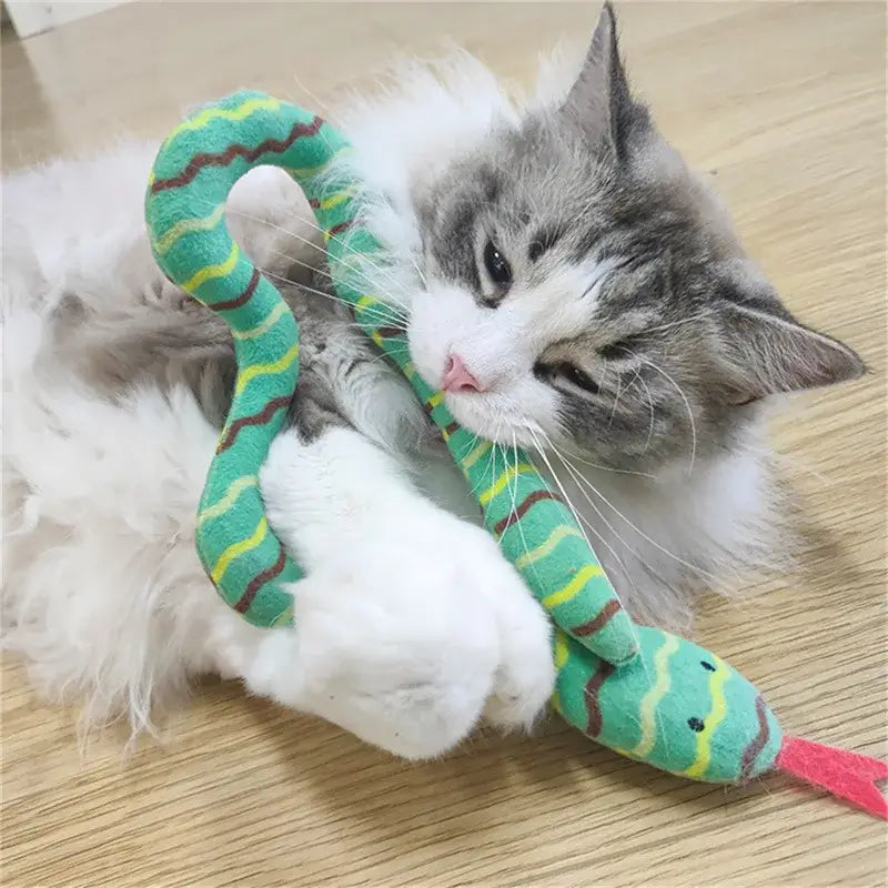 Interactive Catnip Snake Toy for Cats - Realistic & Durable Fun-Cat Toy-1-Colydia