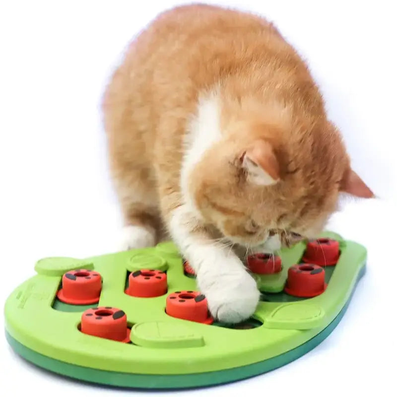 Interactive Cat Kibble Toy for Fun, Health & Hunting Instinct Stimulation-Interactive Cat Feeding Toy-2-Colydia