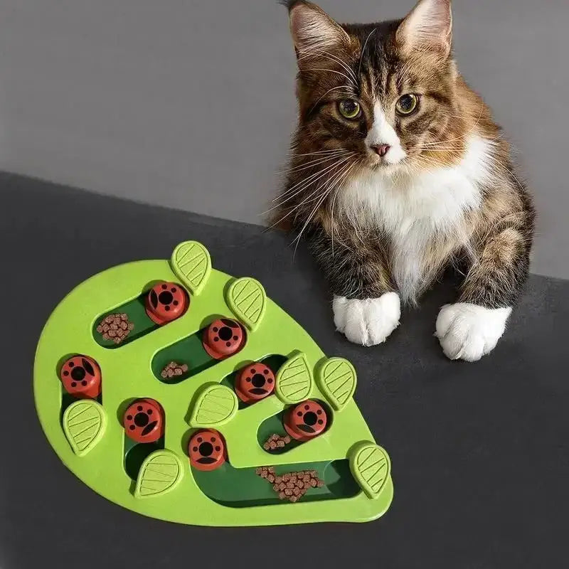 Interactive Cat Kibble Toy for Fun, Health & Hunting Instinct Stimulation-Interactive Cat Feeding Toy-1-Colydia