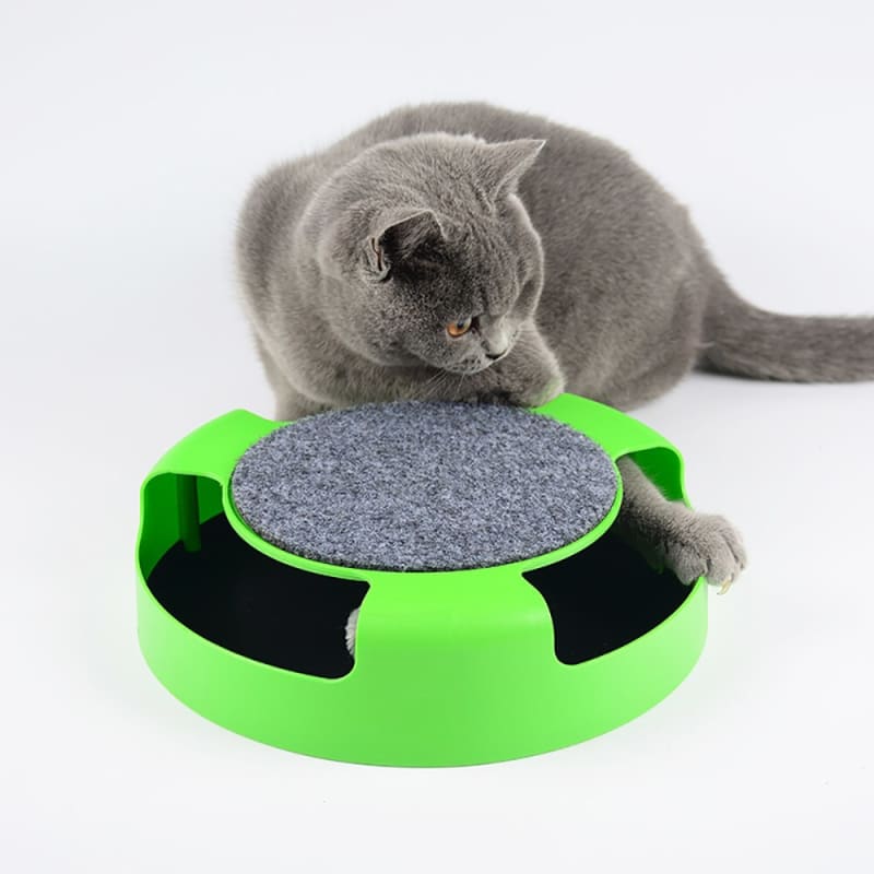 Engaging 2-in-1 Mouse Hunter & Scratch Post Toy for Active Cats-Interactive Cat Toy-7-Colydia