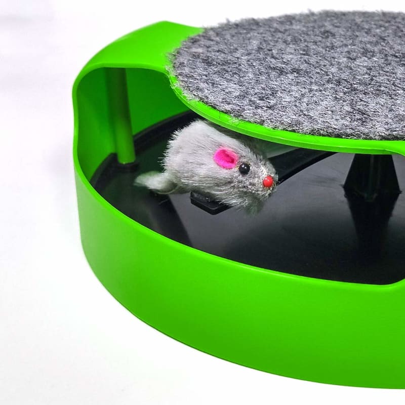 Engaging 2-in-1 Mouse Hunter & Scratch Post Toy for Active Cats-Interactive Cat Toy-4-Colydia