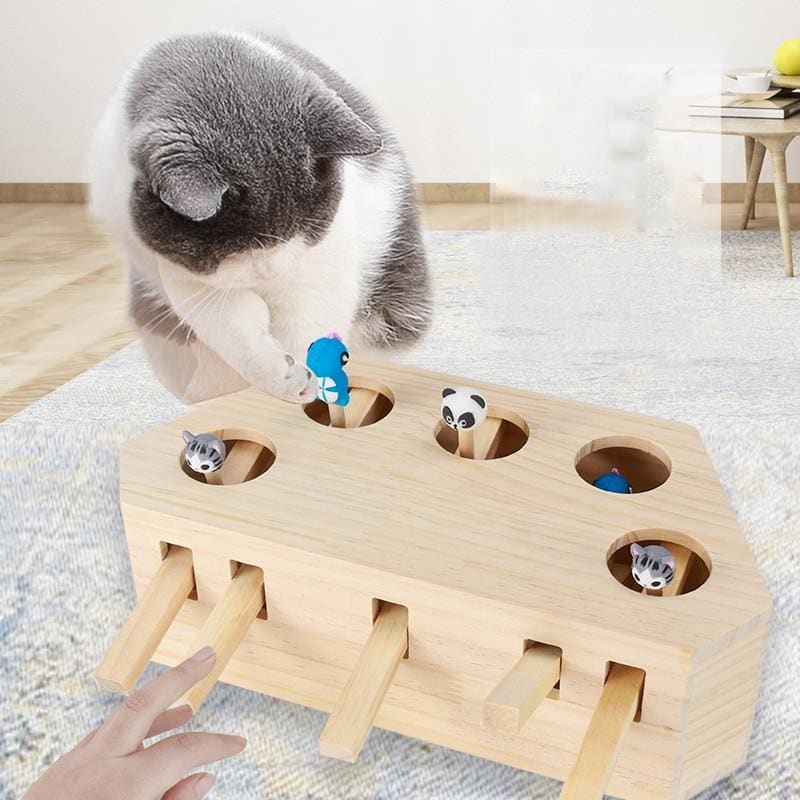 Interactive Wooden Cat Toy for Enhanced Mental Alertness and Fun-Interactive Cat Toy-5 holes-4-Colydia