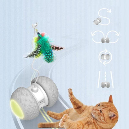 Interactive Automatic Cat Toy with Feather Lure and Dual Modes-Interactive Cat Toy-USB-2-Colydia