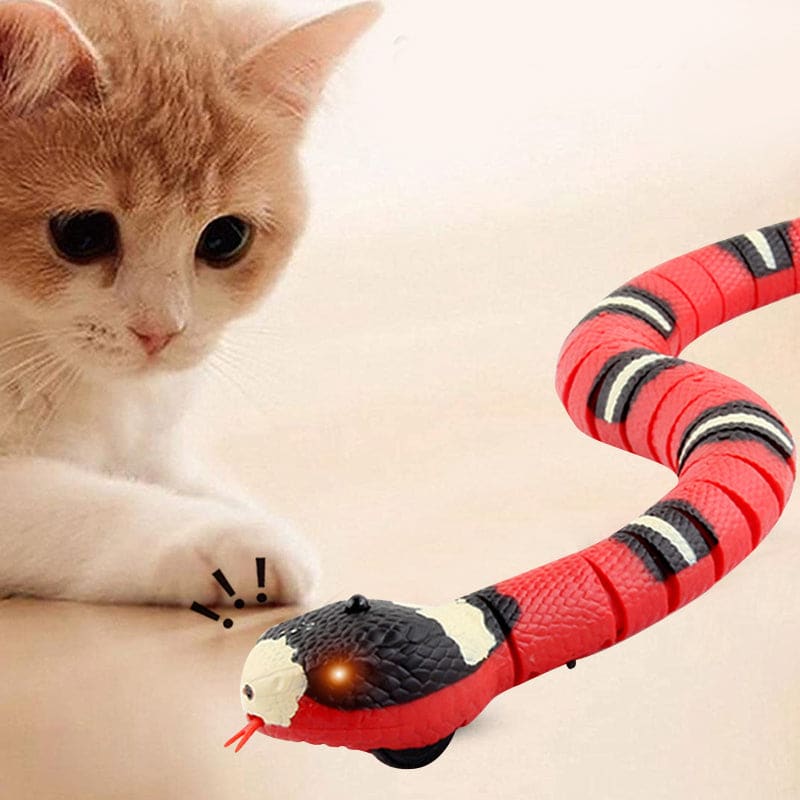 Robotic Snake Cat Toy with Sensors – Awaken Your Cat's Senses!-Interactive Cat Toy-4-Colydia