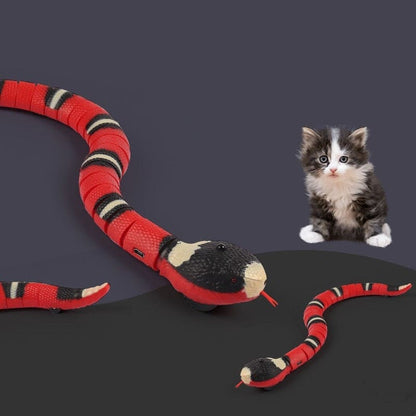 Robotic Snake Cat Toy with Sensors – Awaken Your Cat's Senses!-Interactive Cat Toy-8-Colydia