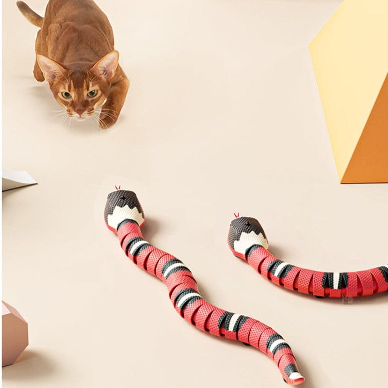 Robotic Snake Cat Toy with Sensors – Awaken Your Cat's Senses!-Interactive Cat Toy-2-Colydia