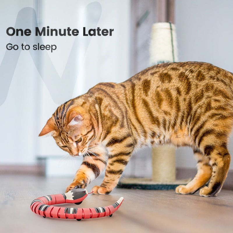 Robotic Snake Cat Toy with Sensors – Awaken Your Cat's Senses!-Interactive Cat Toy-7-Colydia