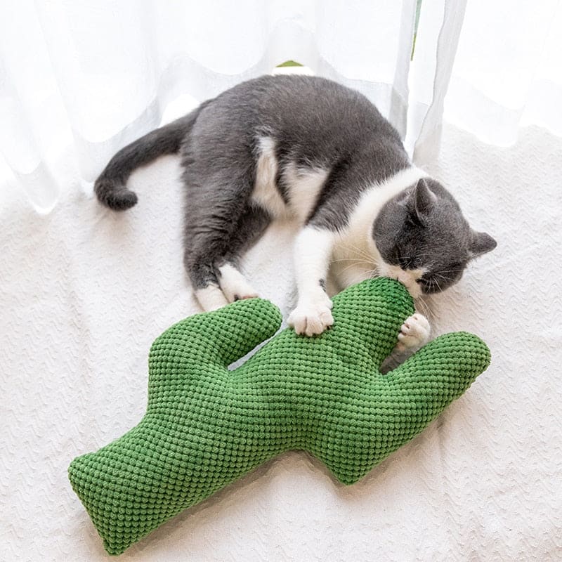 Catnip-Infused Plush Cactus Toy for Cats - Soft & Durable Playtime-Cat Toy-2-Colydia