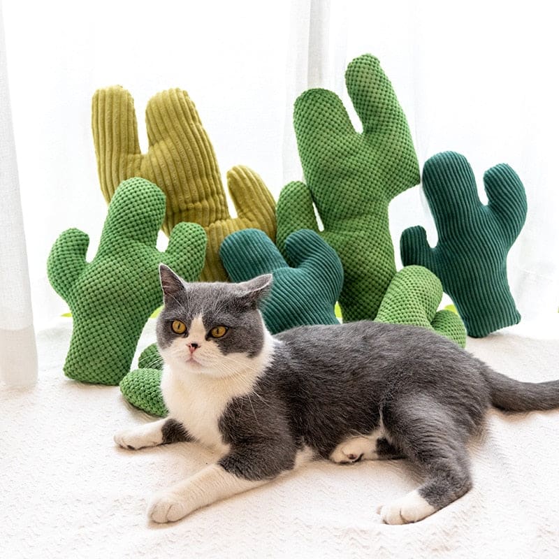 Catnip-Infused Plush Cactus Toy for Cats - Soft & Durable Playtime-Cat Toy-1-Colydia