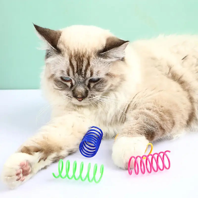 Bouncy Cat Springs - Safe, Durable Toy to Energize and Entertain-Cat Toy-2-Colydia