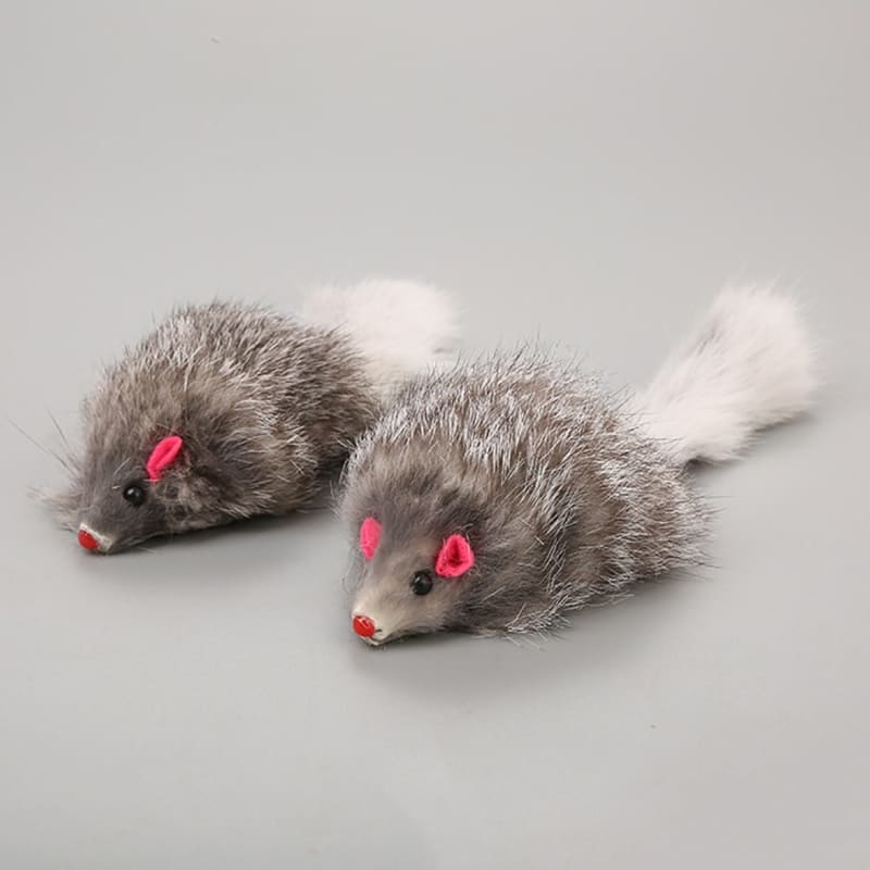 Realistic Rabbit Hair Cat Mice Toys - Set of 5 for Feline Fun-Cat Toys-5 pieces-1-Colydia