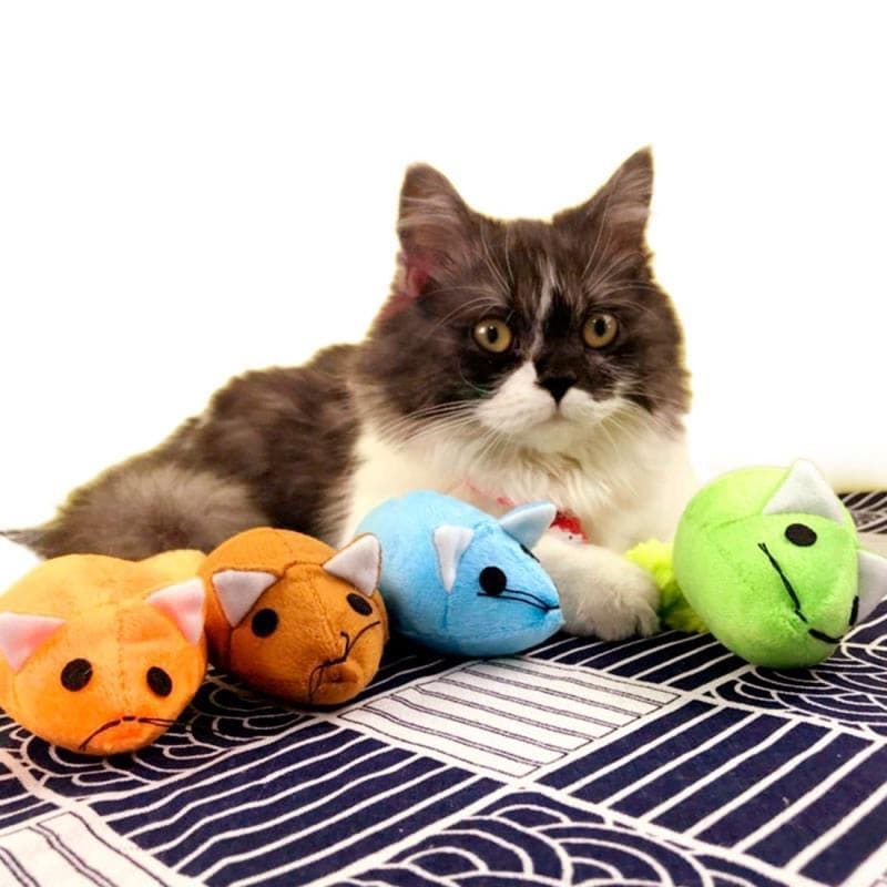 Plush Catnip Mouse Toy for Cats & Kittens – Stimulating Playtime-**Cat Toy**-3-Colydia