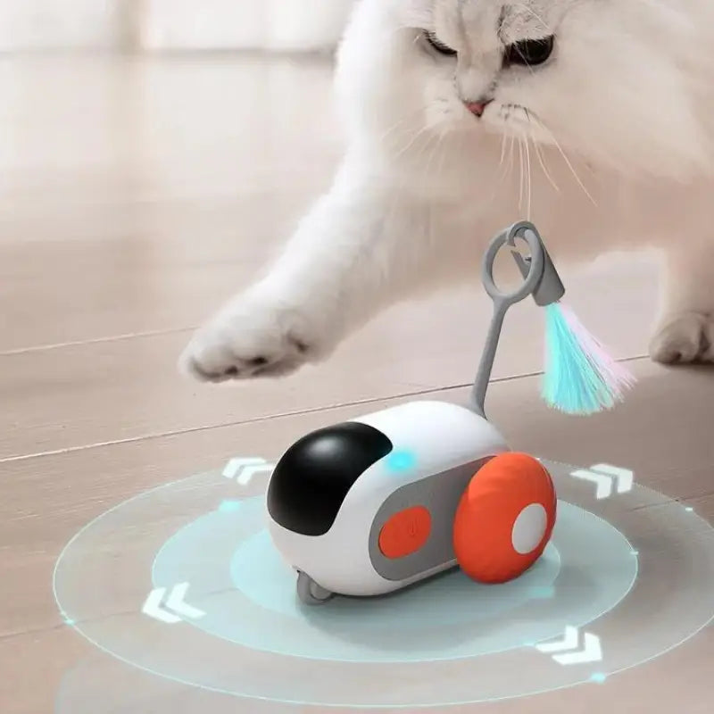 Interactive Remote Control Cat Toy with Modes and Rechargeable Battery-Interactive Cat Toy-5-Colydia