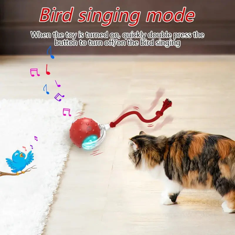 Interactive Cat Ball Toy with USB Recharge and Bird Sounds-Cat Toy-3-Colydia