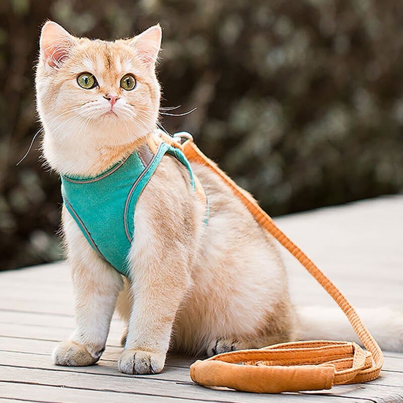 Reflective Leash & Harness for Cats with Night Safety Strips-Cat Harness and Leash-5-Colydia