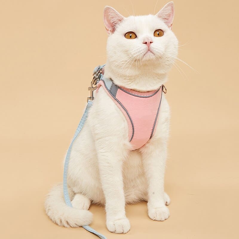 Reflective Leash & Harness for Cats with Night Safety Strips-Cat Harness and Leash-2-Colydia