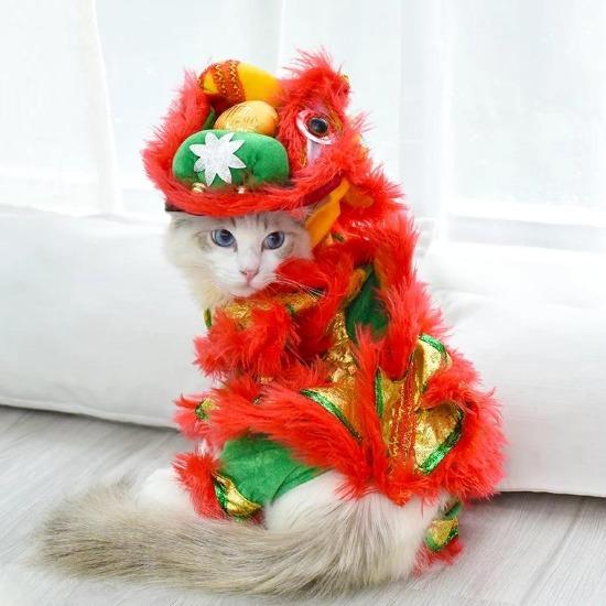 Festive Lion Dance Pet Costume for Celebrations - Eye-Catching Design-Pet Costume-4-Colydia