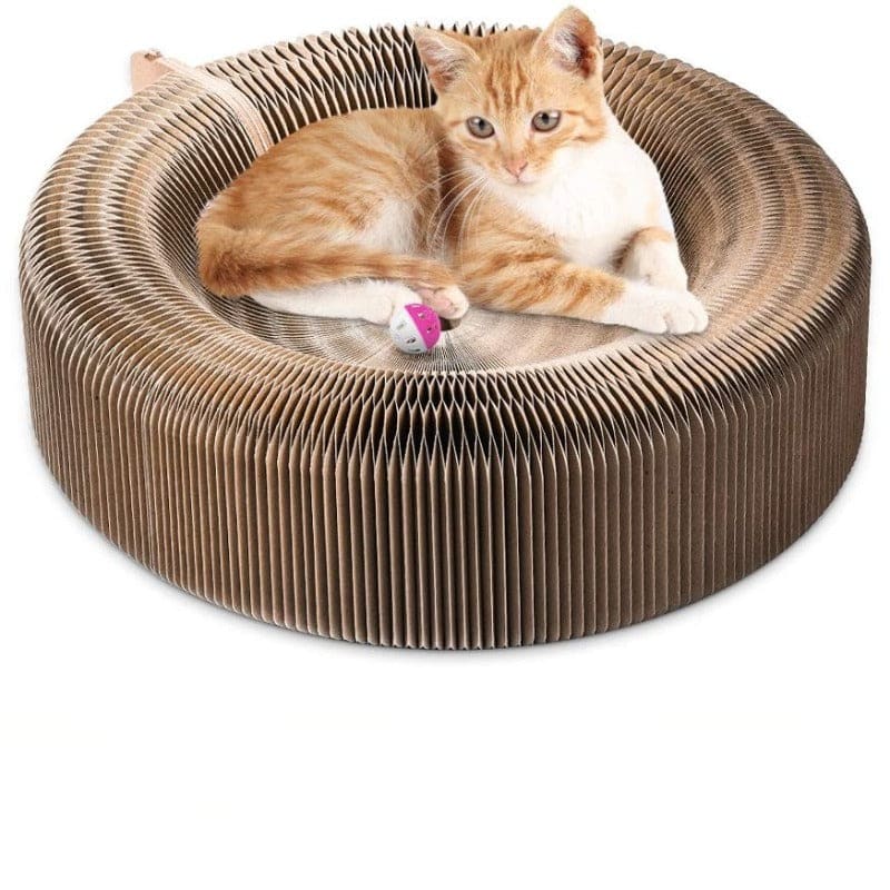 Corrugated Cardboard Foldable Cat Bed & Scratcher - Eco-Friendly-Cat Bed and Scratcher-5-Colydia