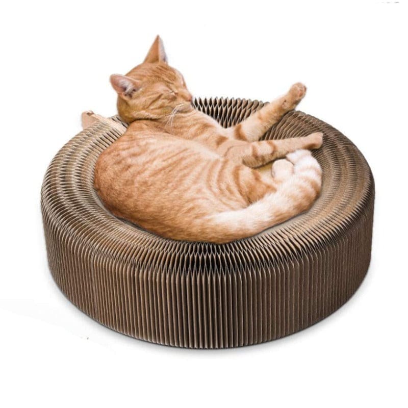 2-in-1 Foldable Cat Bed & Scratching Post, Corrugated Cardboard-Cat Bed & Scratching Post-1-Colydia