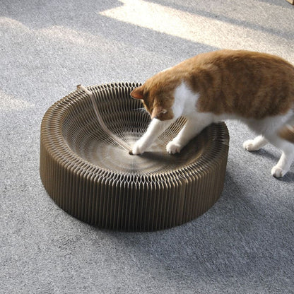 2-in-1 Foldable Cat Bed & Scratching Post, Corrugated Cardboard-Cat Bed & Scratching Post-2-Colydia