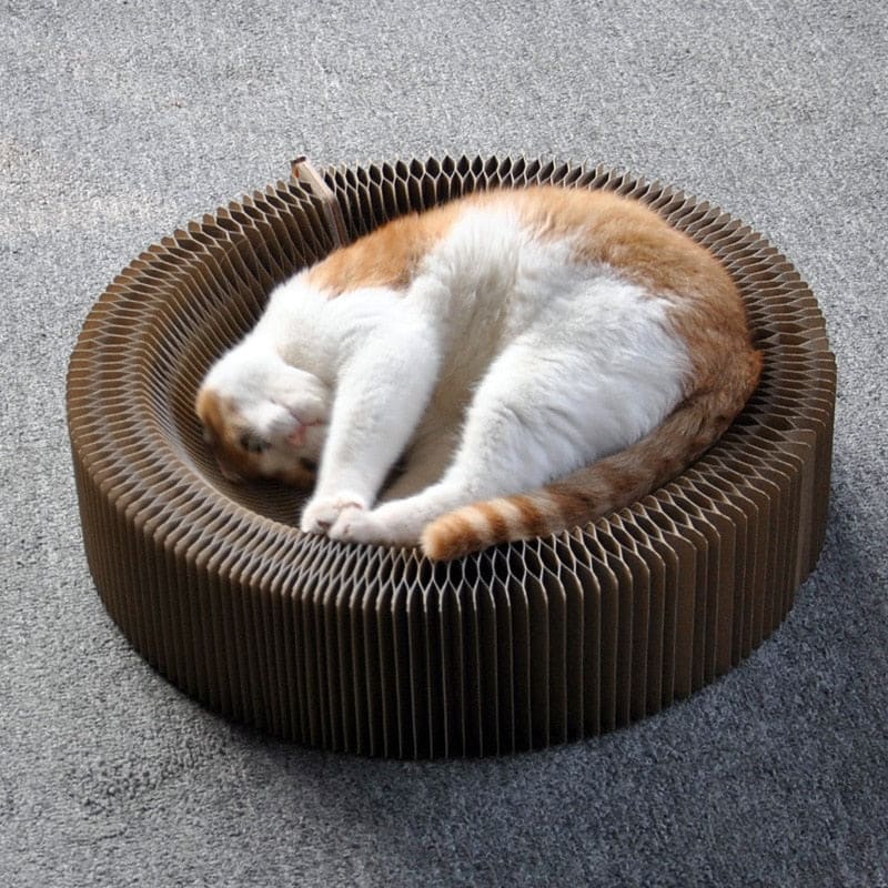 2-in-1 Foldable Cat Bed & Scratching Post, Corrugated Cardboard-Cat Bed & Scratching Post-3-Colydia