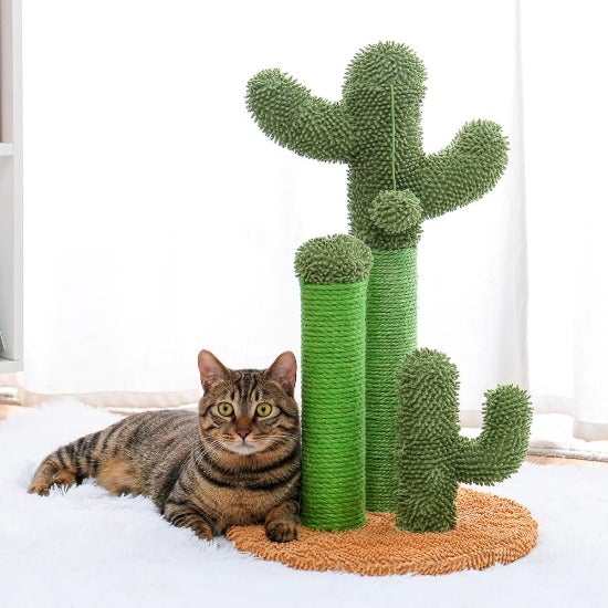 Durable Cactus Cat Scratcher with Sisal Rope & Hanging Toy Ball-Cat Scratching Post-8-Colydia