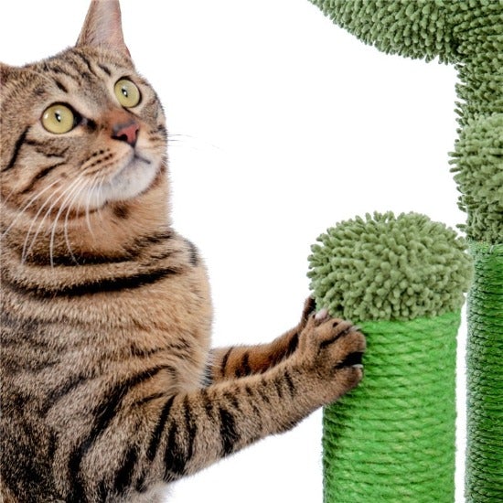 Durable Cactus Cat Scratcher with Sisal Rope & Hanging Toy Ball-Cat Scratching Post-9-Colydia