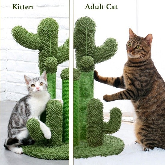 Durable Cactus Cat Scratcher with Sisal Rope & Hanging Toy Ball-Cat Scratching Post-10-Colydia