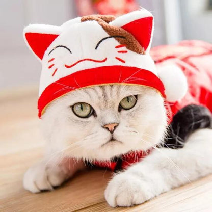 Adorable Cat Headgear - Transform Your Pet into a Lucky Maneki Neko-Cat Headgear-Free size-1-Colydia