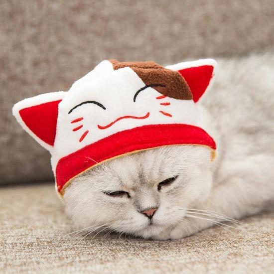 Adorable Cat Headgear - Transform Your Pet into a Lucky Maneki Neko-Cat Headgear-Free size-3-Colydia