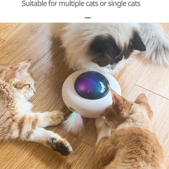 Smart 360° Cat Toy with USB Charging & Obstacle Avoidance Feature-Interactive Cat Toy-5-Colydia