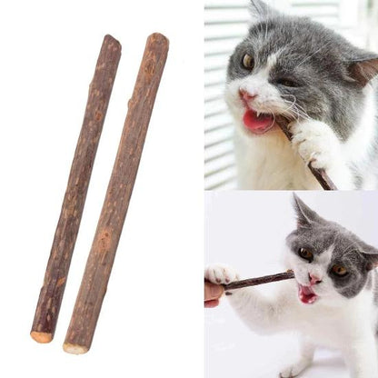 Natural Matatabi Cat Sticks: Teething Aid & Dental Care Essential-Cat Dental Care Sticks-2-Colydia