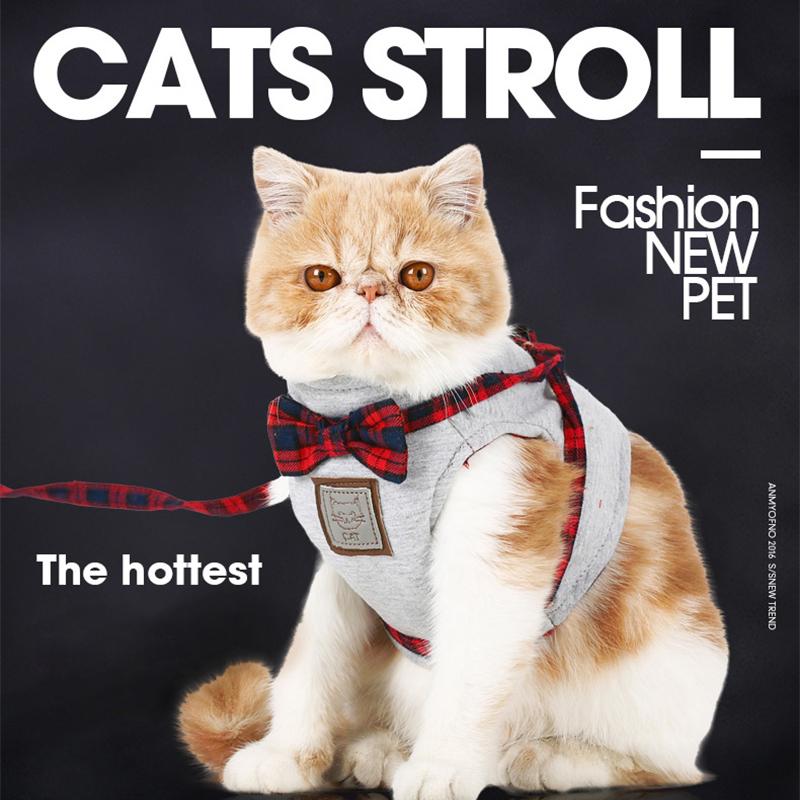 Chic Cat Harness with Comfort Lead & Stylish Bowtie Attachment-Cat Harness-1-Colydia