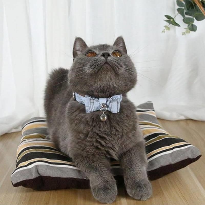 Festive Cat Bow Tie for Christmas with Adjustable Secure Buckle-Cat Accessories-6-Colydia